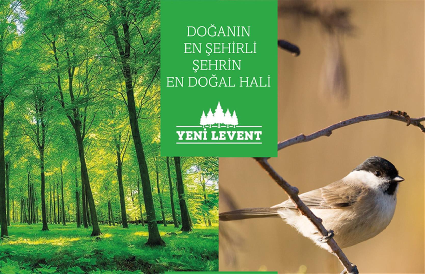 Yeni Levent 