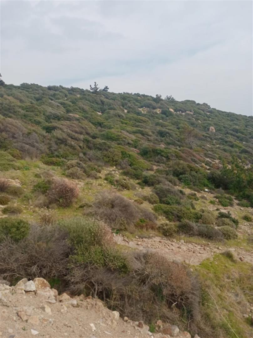 Ayvacık / Assos - ÇANAKKALE / 5 Milyon $